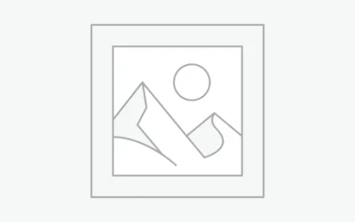 New product launched